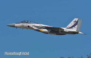 vbc yĐYz1/72 q󎩉q F-15J C[O 306s 2024 nq q󎩉q70NLOh@yAC-95z vf