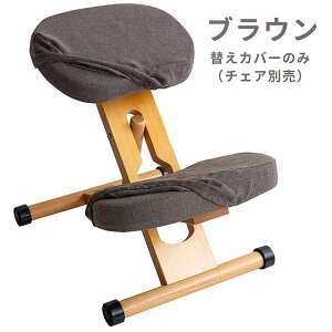 {쏊 v|[V`FApւJo[ ʂƕG2ZbgiuEj CV-8W_BR MIYATAKE [CV8WBR]