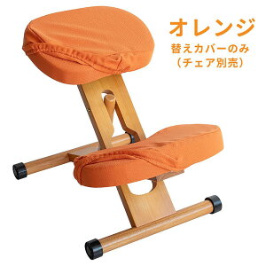 {쏊 v|[V`FApւJo[ ʂƕG2ZbgiIWj CV-8K_OR MIYATAKE [CV8KOR]