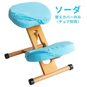 {쏊 v|[V`FApւJo[ ʂƕG2Zbgi\[_j CV-8K_SO MIYATAKE [CV8KSO]