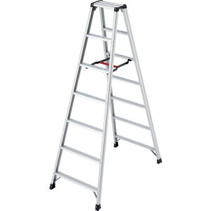 JH A~pr ry RZ^ 7i 7[iƓws][J[i(ꌧE͂ΏۊO) Hasegawa RZ-21C