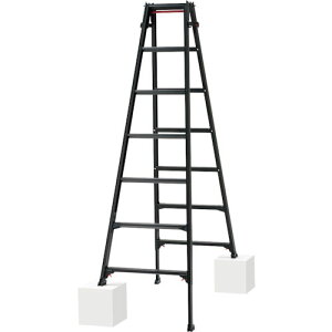 JH nVSpLkr(ubN[x)RYZB-21(10140) 7[iƓws][J[i(ꌧE͂ΏۊO) Hasegawa RYZB-21