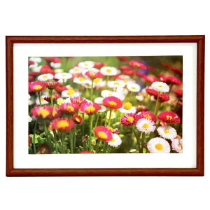 tWJ[ ؐz M21 Ch6؁iuEjiOʔ-PETj NZCF-M21-W6 FUJICOLOR