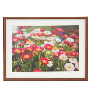 tWJ[ ؐz M21 Ch4؁iuEjiOʔ-PETj NZCF-M21-W4 FUJICOLOR