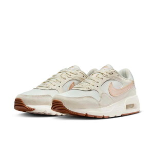 iCL fB[X Xj[J[ GA}bNX SCiZC/ZC/K~fBAuE/ThhtgETCYF28.0cmj CW4554-118-28.0 NIKE