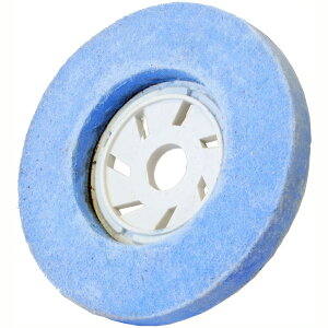 ���i�Z EX�f�B�X�N �������o���p �r�� �ܐZ �����ŏI��p(�O�a100mm) EX-F002