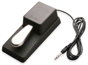 JC dqsAmptbgy_ F-10H KAWAI