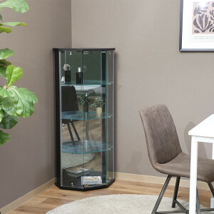 sf BLX^[tKXRNVP[X BAAL R[i[iubNj 63934 wʃ~[@522×s425×1195mm@TMG-G337 [63934tW{EGL]