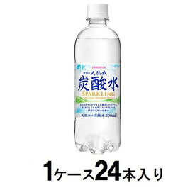 伊賀の天然水 炭酸水 500ml（1ケース24本入） サンガリア テンネンスイタンサンスイ500MLX24