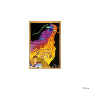 PGA Vl}RNV XebJ[iX̔j PG-DSTK76AUR