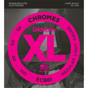 __I GLx[XiLongj ECB-81 D'Addario@XL CHROMES (FLAT WOUND)