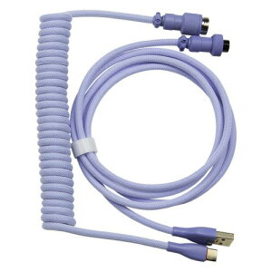 GRAPHTiOtgj RCP[u USB TypeC-A (Cgu[) GRT053-LBL-ONE