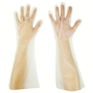 pbN G{X܃Oܖ{i MTCYi50EȂj EL45M