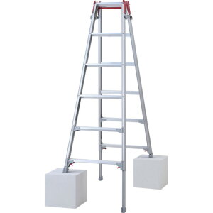 JH rLkA~͂pr ^b`o[ RYZ^ 6i(10195) 6[iƓws][J[i(ꌧE͂ΏۊO) Hasegawa RYZ-18D