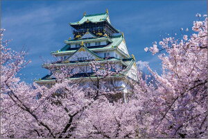 ̂܂ {̕i Ԑ̑Vtij 1000s[Xy10-1482z WO\[pY