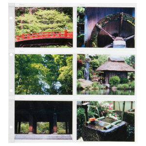 nNo |[gAop֑䎆 mLTCY/120[i10V[gjn ARP-SSL HAKUBA