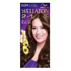 EGg[2{1 N[^Cv 6GM HFCvXe[WWp EGg-2+1N-6GM