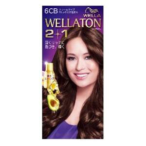 EGg[2{1 N[^Cv 6CB HFCvXe[WWp EGg-2+1N-6CB