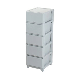 JEJAXe[W fRj[V[Hi5iECgO[j 1020885 [DC5LG1020885]