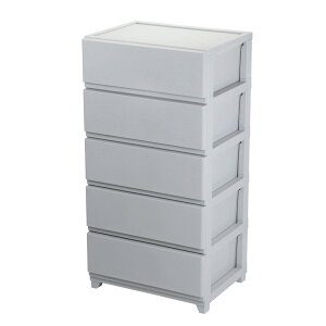 JEJAXe[W fRj[V[H@Chi5iECgO[j 1020891 [DCW5LG1020891]