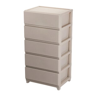 JEJAXe[W fRj[V[H@Chi5iEO[Wj 1020892 [DCW5O1020892]