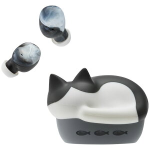 fBEX SCX BluetoothCzin`j HP-C28BTH radius@NEKO