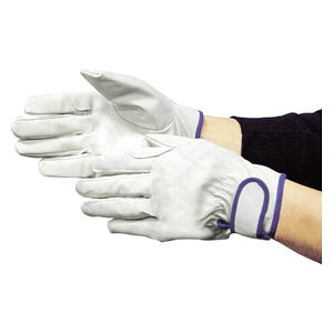 xmO[u W[^Cv܁iĕt^Cvj@zCg@L 5913 EX-233