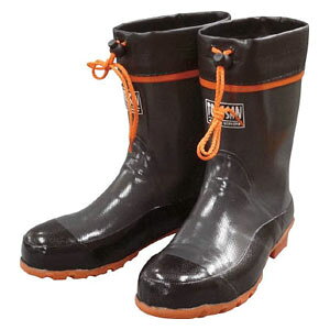 RSH ̉@ЂFS-2 O[ LL KTFS2LL