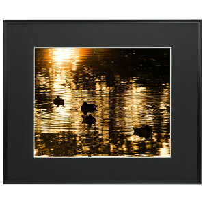 tWJ[ A~z Ch}bgt[ A3300 SiubNjiOʔ-ANj tWJ-A3300Z FUJICOLOR