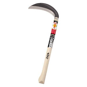 L RN}bNX|Аn HTS5081