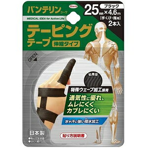 oeR[ e[sOe[v Lk^Cv 25mm×4.6m ubN 2{ a oee-s25ucN2