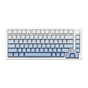 VGN 75L[{[h A75 Magnetic KeyboardsiGradient Bluej 31673(Q-g)