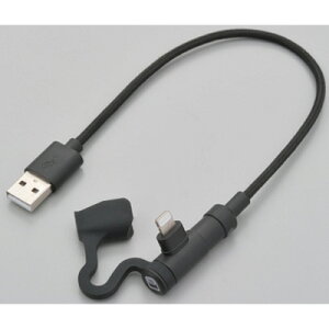 fCgi oCNpUSB[dP[u Type-A to Lightning L^ 15610 DAYTONA