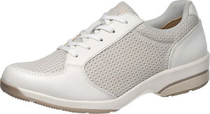 ATqfBJEH[N fB[X EH[LOV[Y fBJEH[N WK L029izCgETCYF24.0cmj WK-L029-zCg-240 KV78481