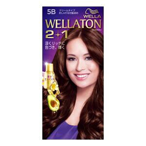 EGg[2{1 N[^Cv 5B HFCvXe[WWp EGg-2+1N-5B