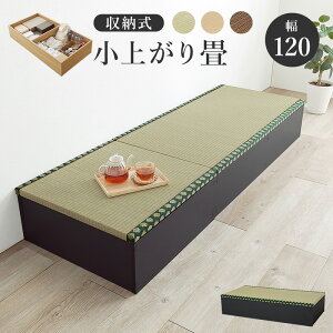 HAGIHARA() t[Xc[ [^Cv (120×s60×25cm) ubN RUD-1149GR [RUD1149GR]