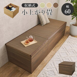 HAGIHARA() t[Xc[ nC^Cv (60×s60×45cm) uE RUD-1158BR [RUD1158BR]