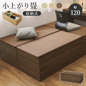 HAGIHARA() t[Xc[ nC^Cv (120×s60×45cm) uE RUD-1159BR [RUD1159BR]