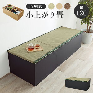 HAGIHARA() t[Xc[ nC^Cv (120×s60×45cm) ubN RUD-1159GR [RUD1159GR]