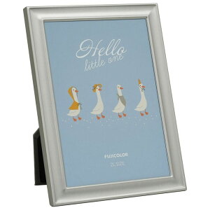�t�W�J���[ ���^���J���[�t���[�� 3601K 2L�T�C�Y�i�V���o�[�j �t��-��3601K�V���o- FUJICOLOR