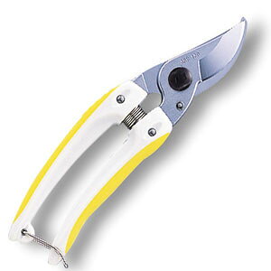 AXR[|[V @~j`LfbNXiCG[j 130DX-Y