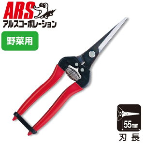 �A���X�R�[�|���[�V���� �E�����G�N�X�g�������O�^�C�v�i�u���X�^�[�p�b�N�j 300LL-BP