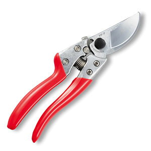 AXR[|[V  uCGXGCg VS-8Z