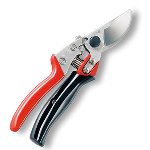 AXR[|[V  uCGXGCg[^[ VS-8R