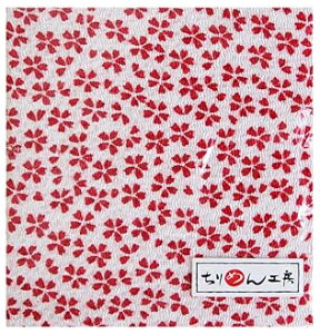 NBK ߂JbgNX 23×33cmiFTE×j Y041-3902