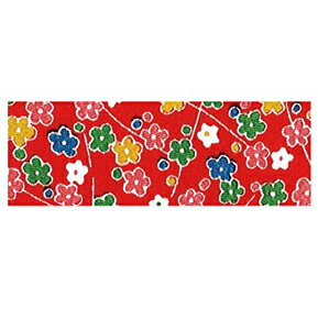 NBK ߂JbgNX 23×33cmiFTEԕ×ԁj Y272-02