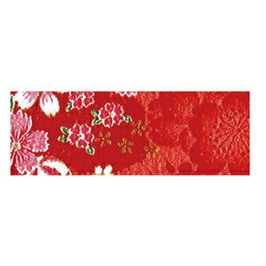 NBK ߂JbgNX 23×33cmiʁEf×ԁj GH41-01