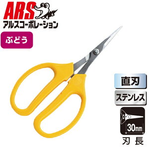 AXR[|[V uhEfbNX niܓj 320DX-T