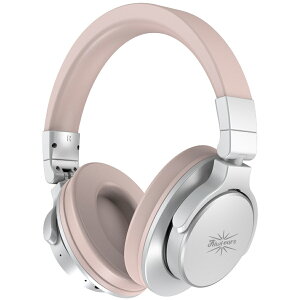 Kiwi Ears _Ci~bN^j^[wbhz(Vo[) KWI026 Division - Silver