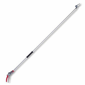 AXR[|[V }|[`L ̎^Cv 160PC-1.8D